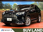 RAV4 4WD
