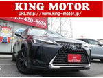 LEXUS UX250h