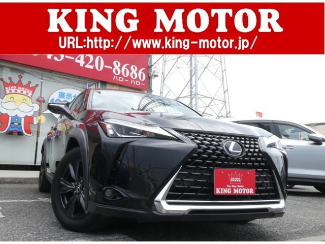 LEXUS UX250h