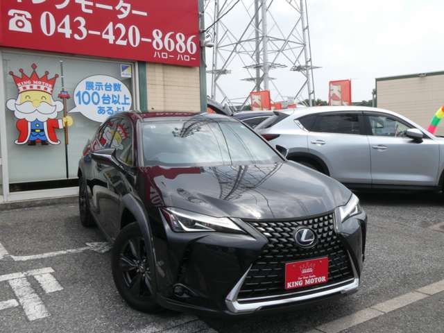 LEXUS UX250h