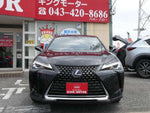 LEXUS UX250h