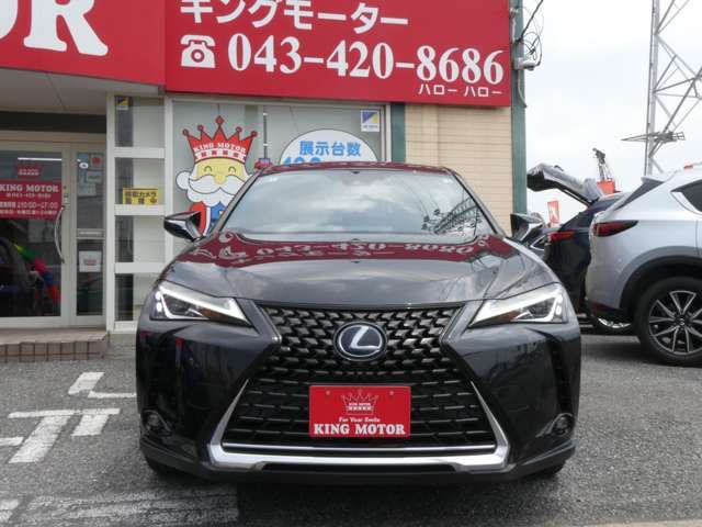 LEXUS UX250h