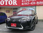 LEXUS UX250h