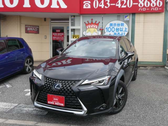 LEXUS UX250h
