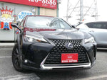 LEXUS UX250h