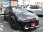 LEXUS UX250h