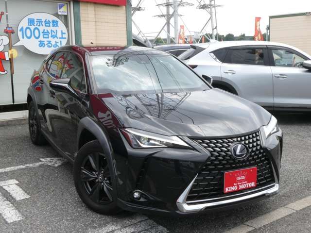 LEXUS UX250h