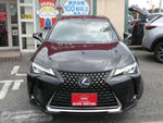 LEXUS UX250h