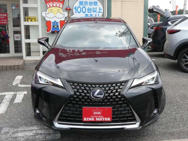 LEXUS UX250h