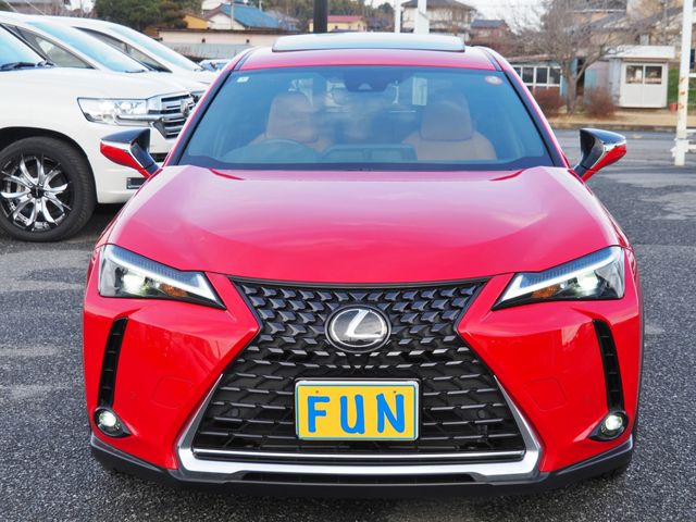 LEXUS UX300e