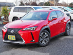 LEXUS UX300e