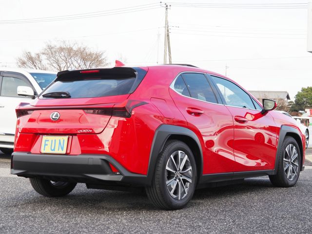 LEXUS UX300e