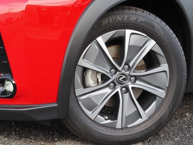LEXUS UX300e