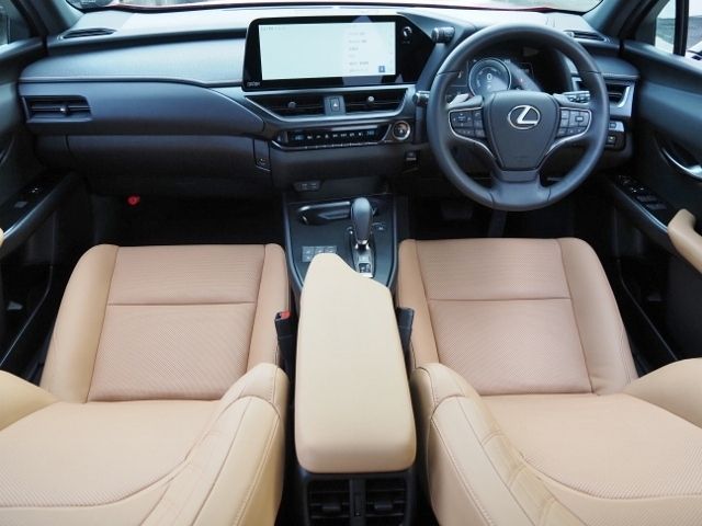 LEXUS UX300e