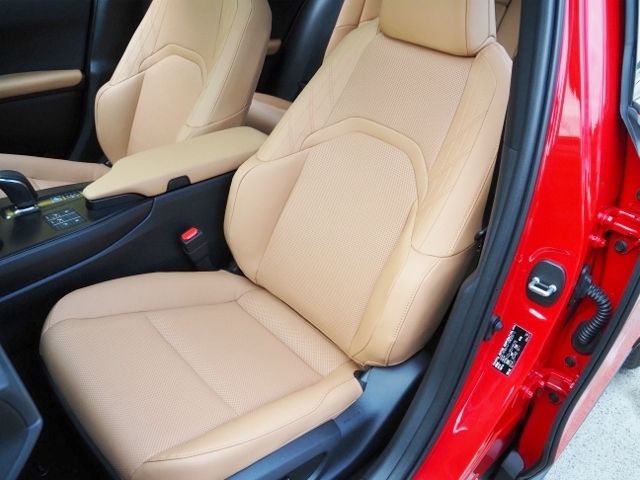 LEXUS UX300e