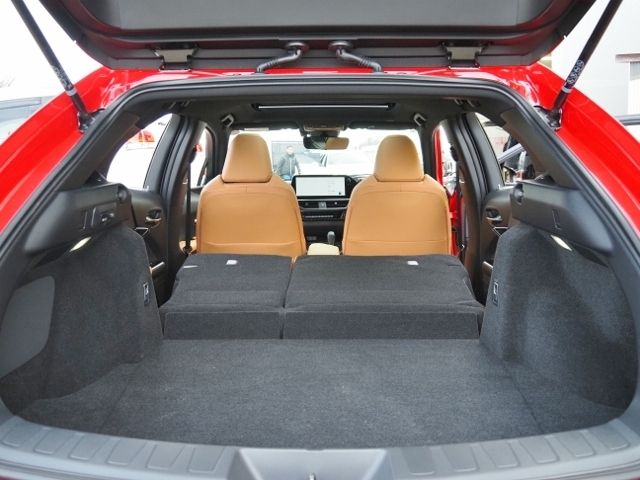 LEXUS UX300e
