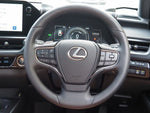 LEXUS UX300e