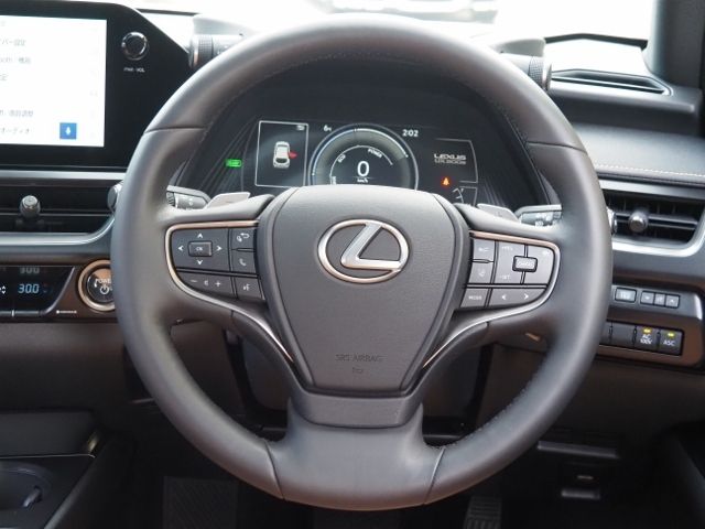 LEXUS UX300e