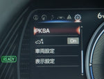 LEXUS UX300e