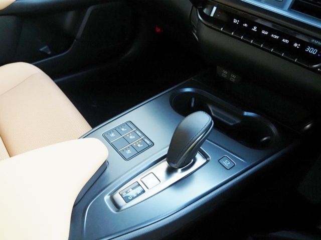 LEXUS UX300e