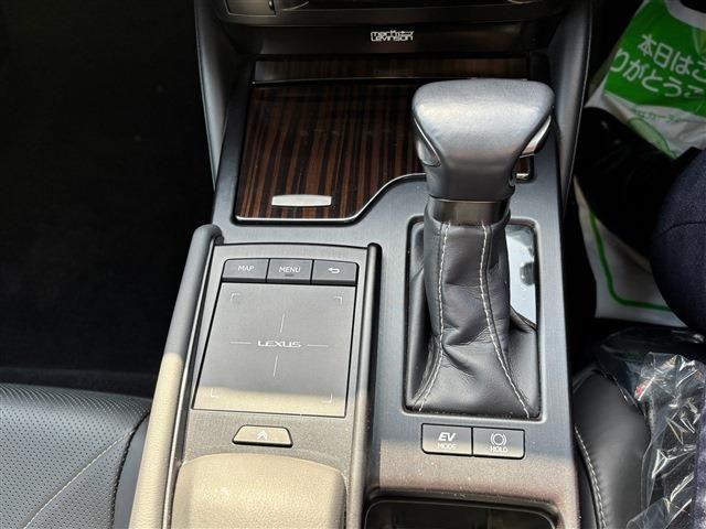 LEXUS ES300h