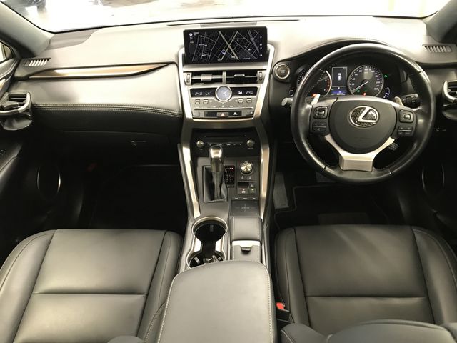LEXUS NX300