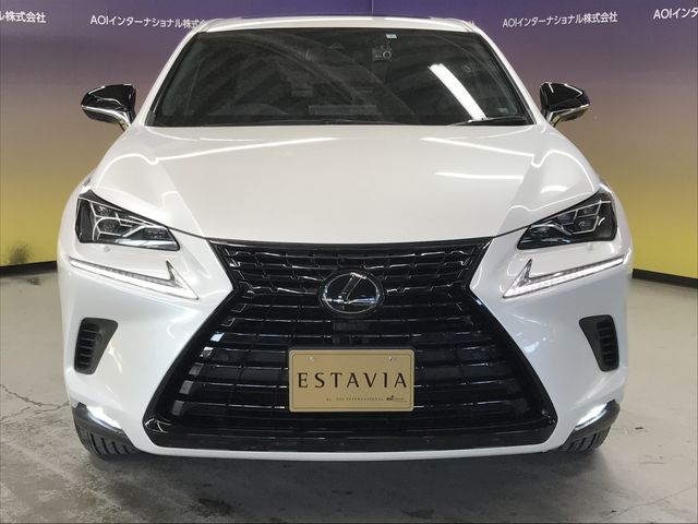 LEXUS NX300
