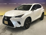 LEXUS NX300