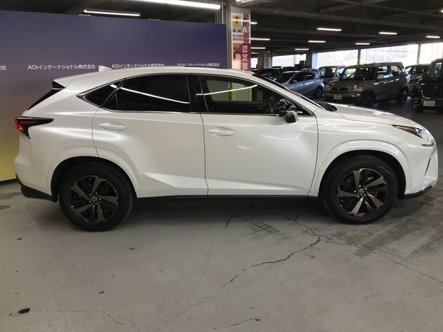 LEXUS NX300