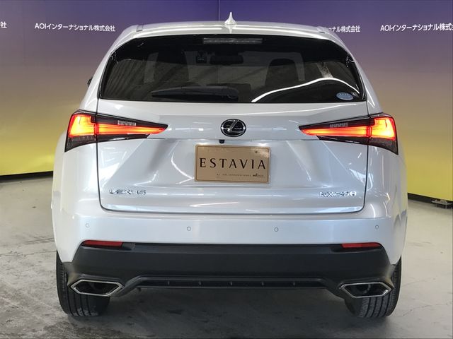 LEXUS NX300