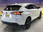 LEXUS NX300