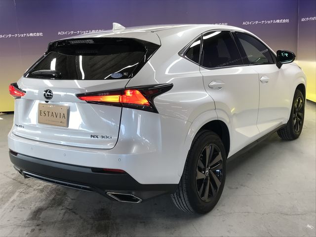 LEXUS NX300