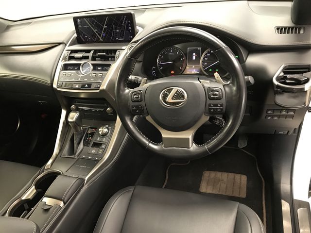 LEXUS NX300