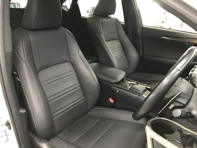 LEXUS NX300