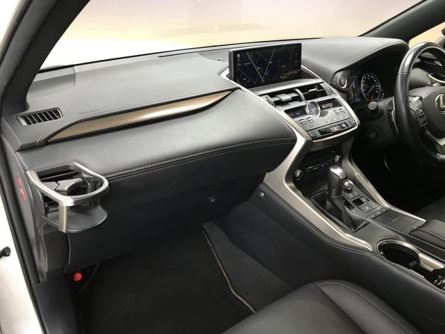 LEXUS NX300
