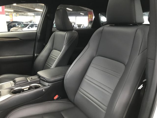 LEXUS NX300