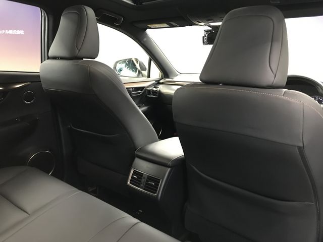 LEXUS NX300