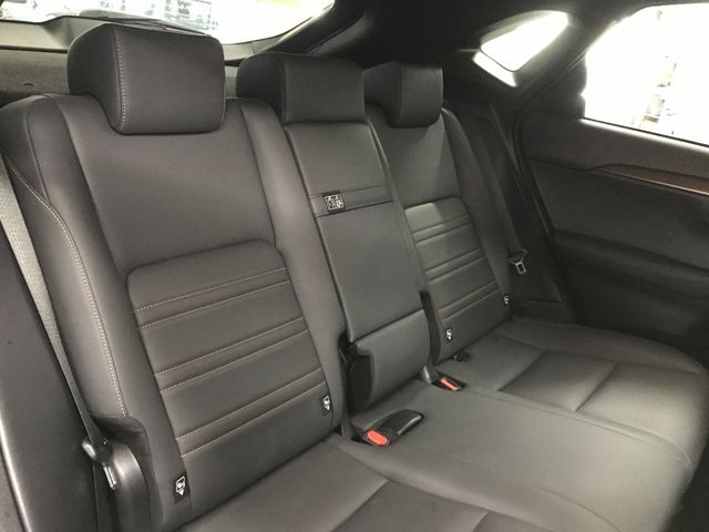 LEXUS NX300