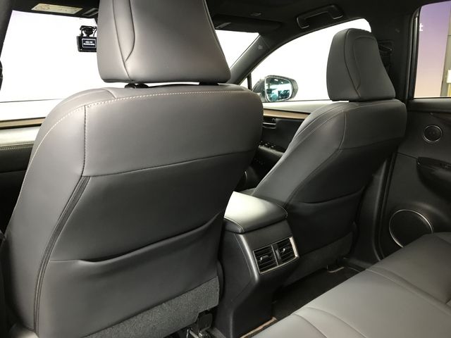 LEXUS NX300