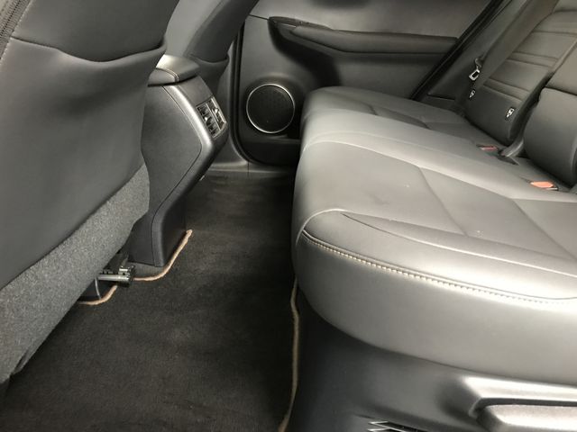LEXUS NX300