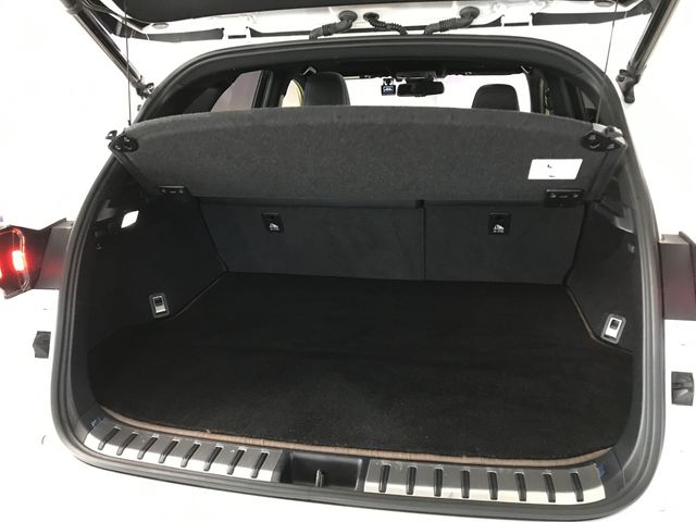 LEXUS NX300