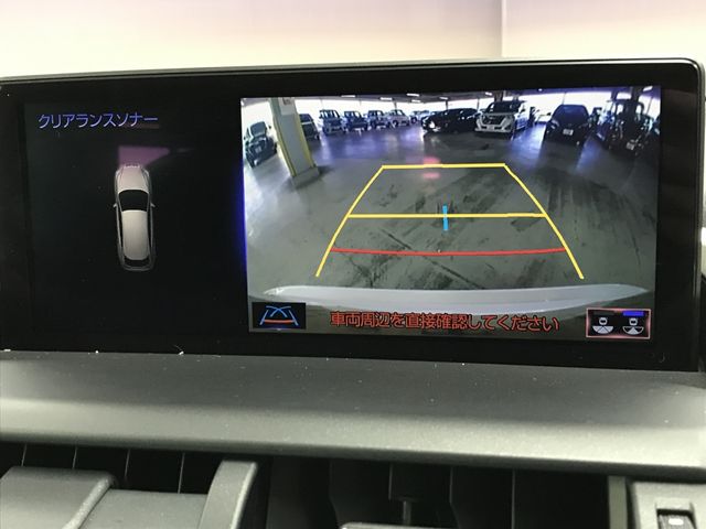 LEXUS NX300