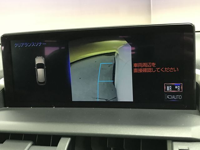 LEXUS NX300