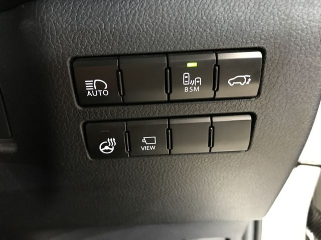 LEXUS NX300