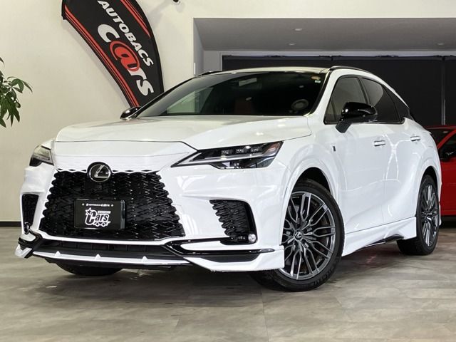 LEXUS RX500h