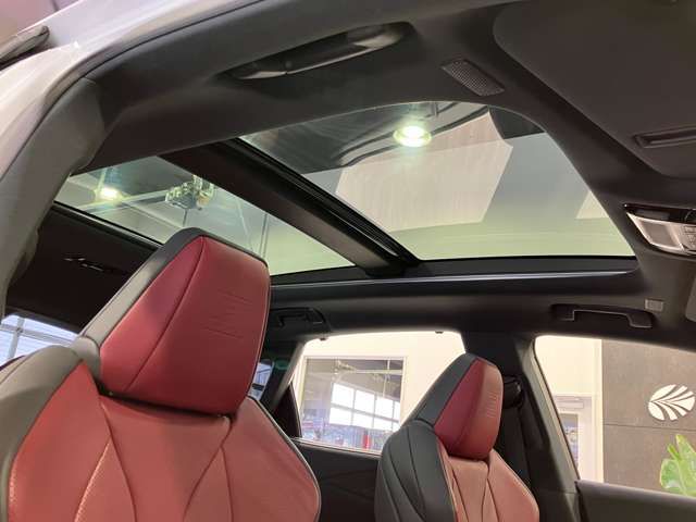 LEXUS RX500h