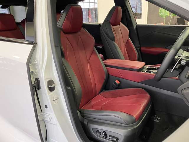 LEXUS RX500h