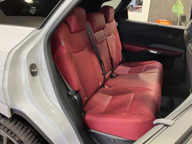 LEXUS RX500h