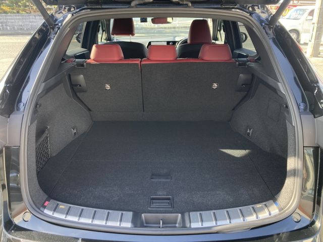 LEXUS NX350h