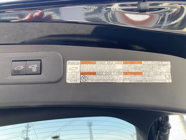 LEXUS NX350h